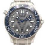 Omega Seamaster Diver 300M 210.30.42.20.06.001 Stainless Steel Automatic Watch