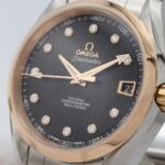 Omega Seamaster Aqua Terra RG Combination 11P 231.20.39.21.51.003 SSxPG Automatic - Image 7