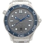 Omega Seamaster Diver 300M 210.30.42.20.06.001 Stainless Steel Automatic Watch