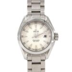 Omega Seamaster Aqua Terra 231.10.30.61.02.001 Stainless Steel Quartz Watch