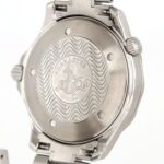 Omega Seamaster Professional 2254.50 Stainless Steel Automatic - Image 6
